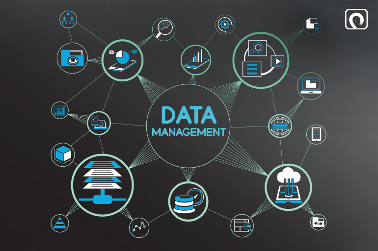 Current Progress and Data Management