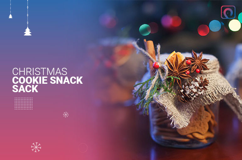 Christmas Gift - Christmas Cookie Snack Sack