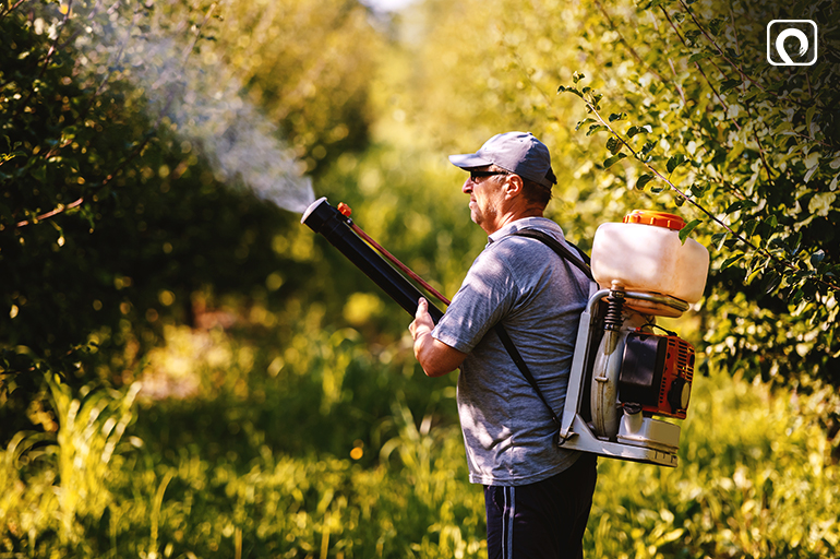 Control Pests in Organic Gardening