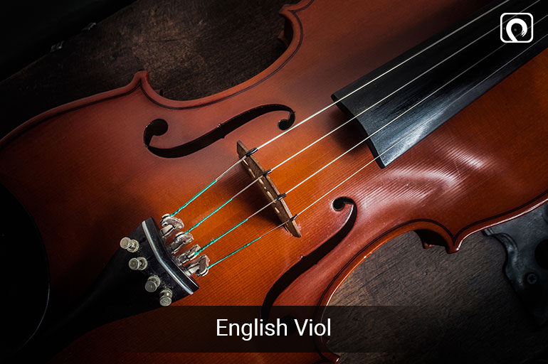 Folk Instrument - English violin