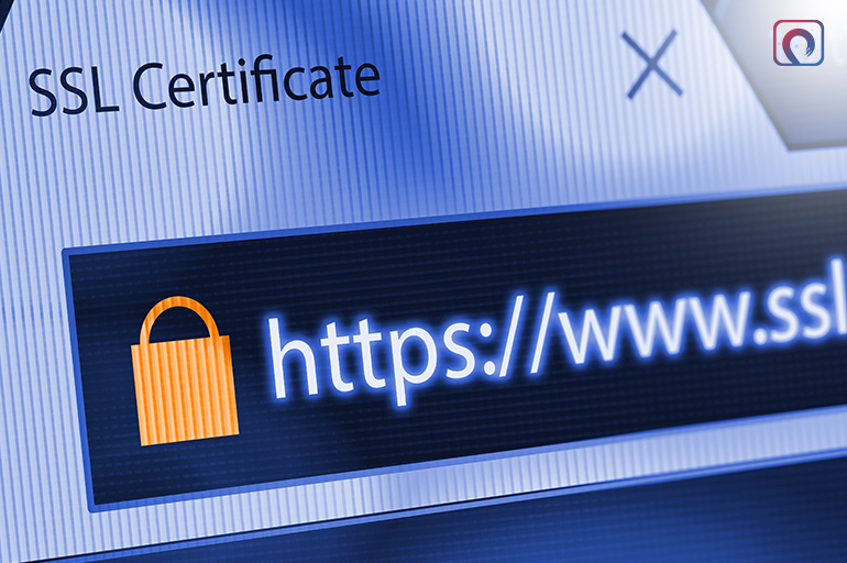Secures your browsing experience with HTTPS