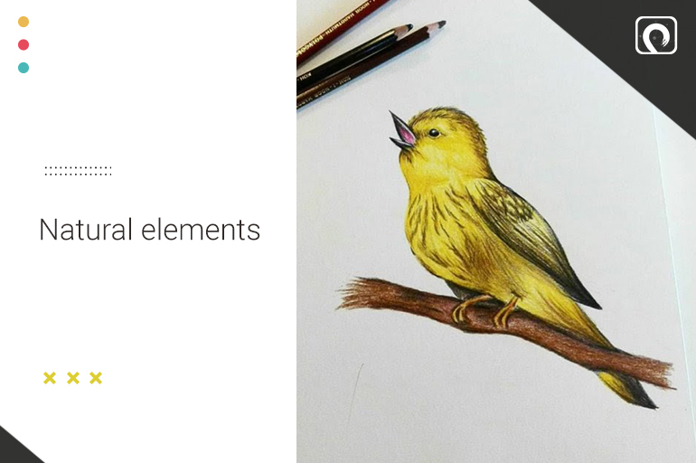 Things to draw - Natural elements