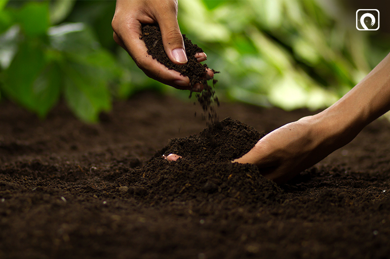 Prepare Organic Garden Soil