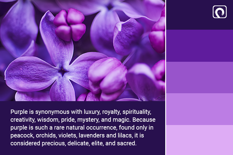 Impact and Meaning of the Colour Purple