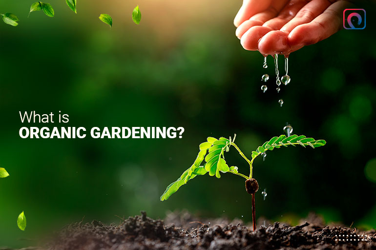 What is organic gardening?